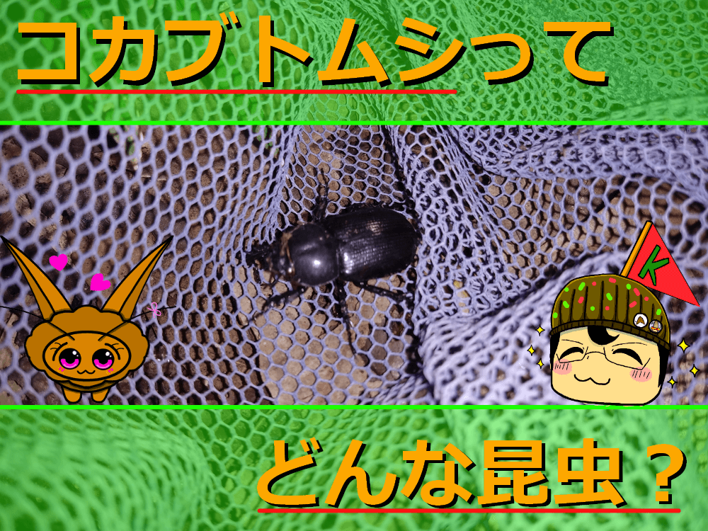 Thumbnail of post image 082